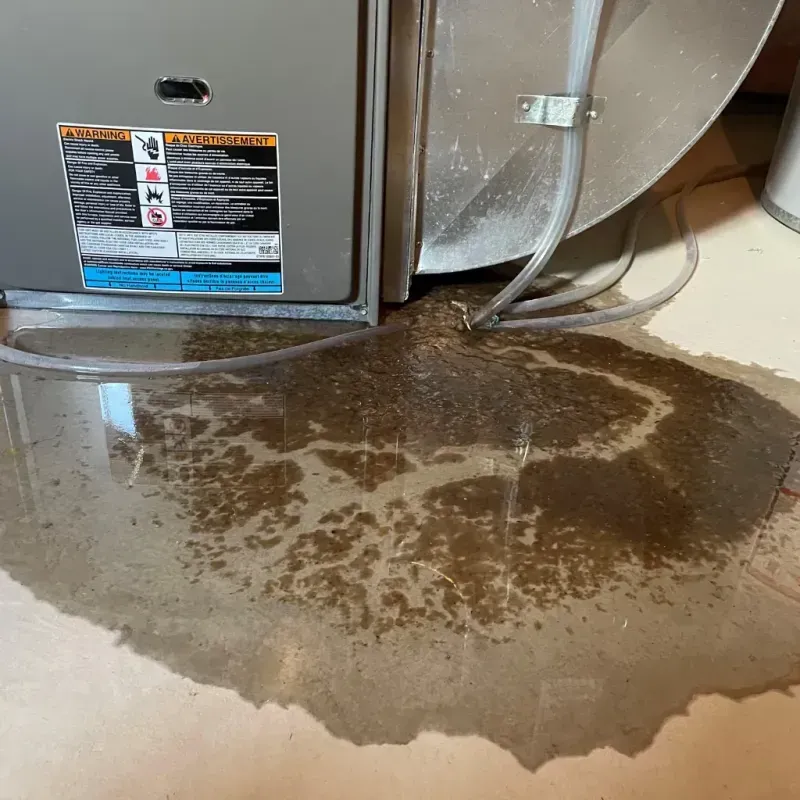 Appliance Leak Cleanup in Manteno, IL